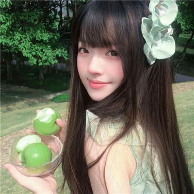 东风海棠